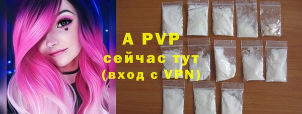 альфа пвп Гусев