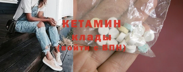 шишки Гусь-Хрустальный
