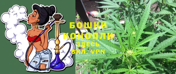 шишки Гусь-Хрустальный
