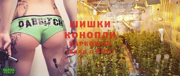 шишки Гусь-Хрустальный