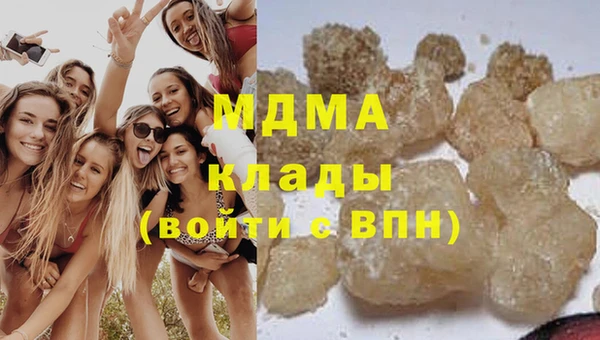 шишки Гусь-Хрустальный