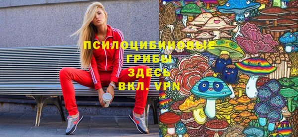 шишки Гусь-Хрустальный