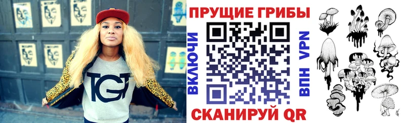 Купить где  Трёхгорный  Псилоцибиновые грибы GOLDEN TEACHER 